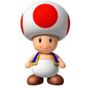 Meet your Posher, Darla